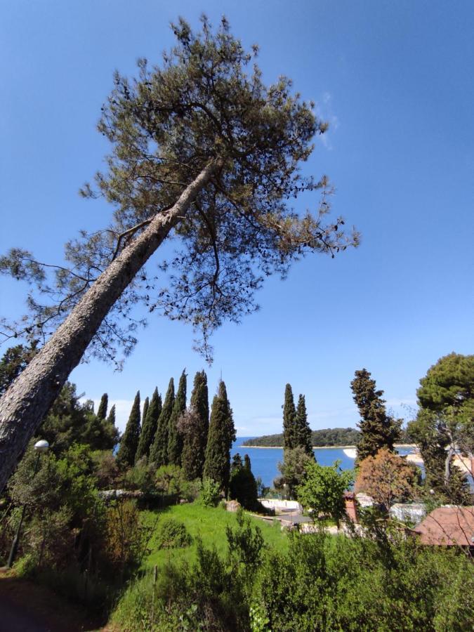 Mobile Home More Porton Nature Hideouts Rovinj Exterior foto